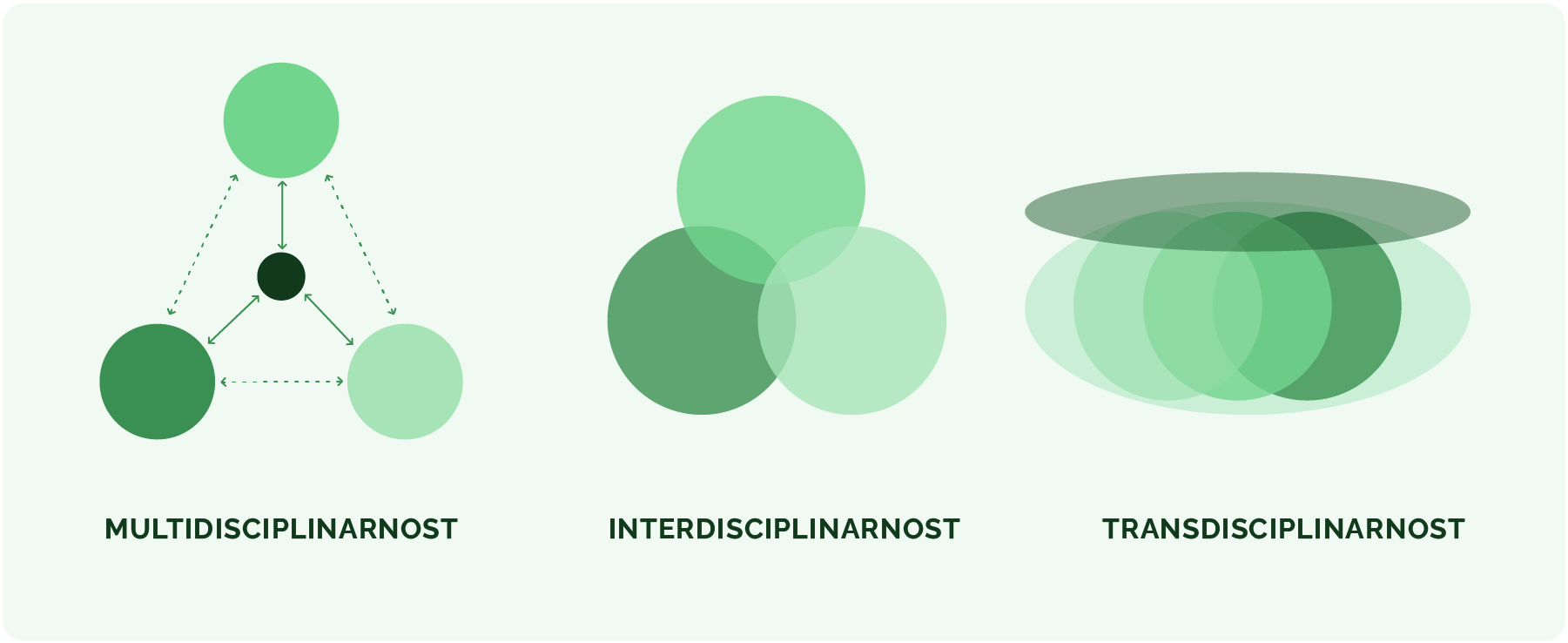 Vizualna prezentacija multidisciplinarnog, interdisciplinarnog
i transdisciplinarnog pristupa (prema Didham i sur., 2024)