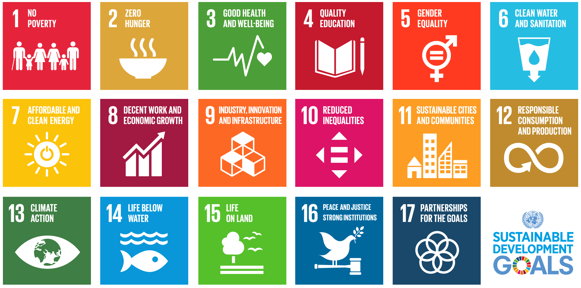 The UN Sustainable Development Goals
