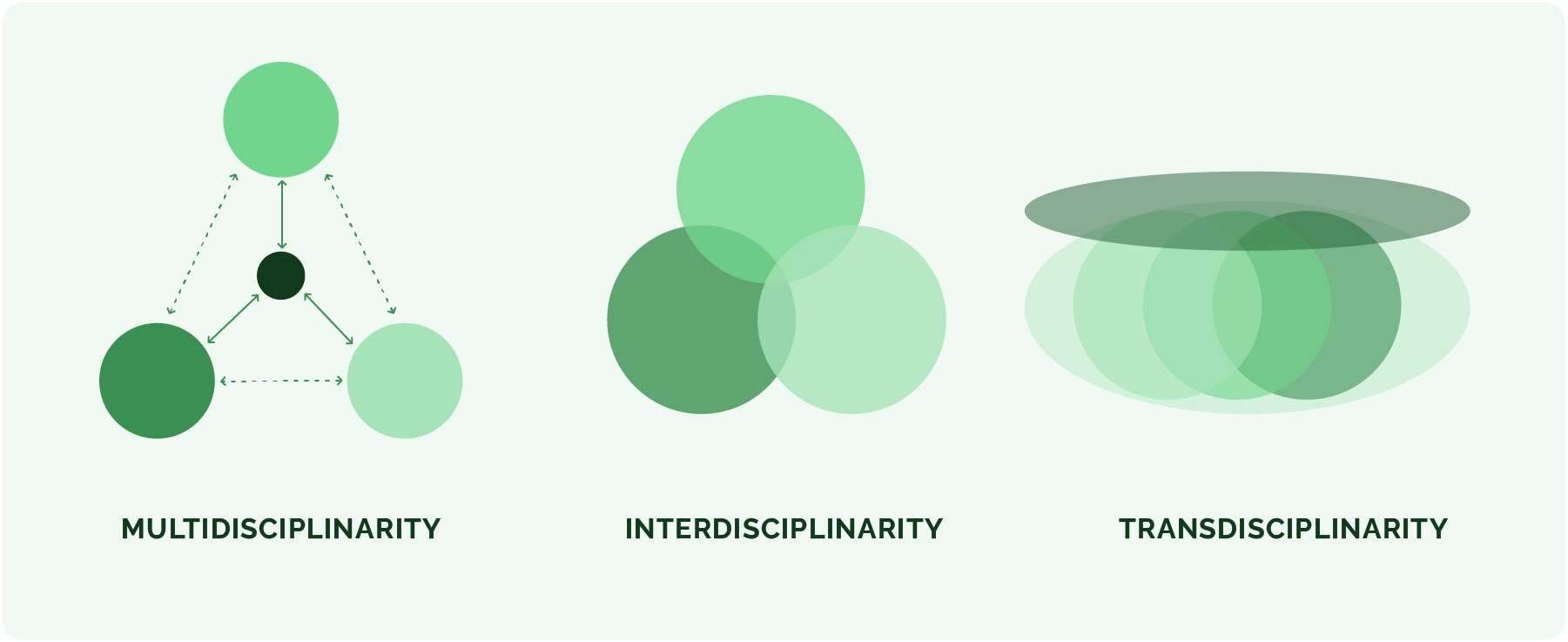 Visual presentation of the multidisciplinary, interdisciplinary, and transdisciplinary approach (according to Didham et al.